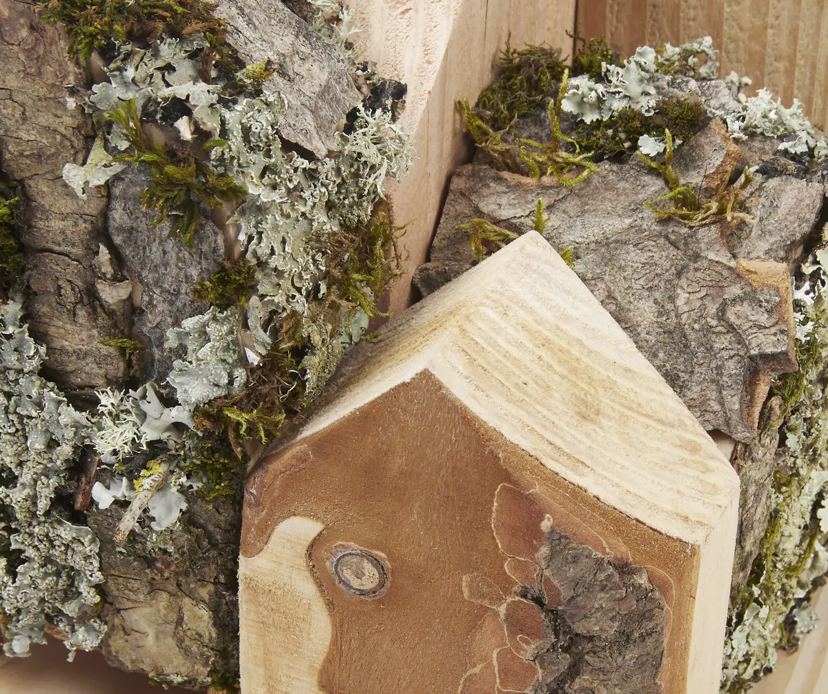 Lichen as bioindicators

Lichen Vs Carbon. These concept models look to document both the current state of Dudley Highstreet and the vision looking towards the future within this thesis project.

The lichen covered model looks towards a future in Dudley that is rich in texture, colour, nature and oxygen. Natural materials promote natural growth, and textures such as rough sawn timber and stone are the prefect hosts for lichen. All new buildings in Dudley would benefit massively from following a fabric first approach and adopt the use of sustainable and recycled building materials along with systems that use minimal energy.

The lichen model represents a vision for this thesis, buildings that are covered in natural materials and lichens that help sequester carbon and promote a healthier Highstreet. Suggestions of raised buildings also proposes less disruption to the ground and natural landscape, giving plants and animals the opportunity to thrive in an otherwise hostile concrete environment. Raised buildings also look towards a future planet with rising sea levels, future factors that will drastically affect the way we carry out daily lives and futureproofing all buildings for generations to come.

This second model uses the Shou Sugi Ban method of charring timber to waterproof it. In this case however it represents the embodied carbon and pollution within the highstreet as it exists now. The simplicity and repetition is also used to symbolise the plain nature of the highstreet with only a few materials exhibited, mainly brick & concrete. Once burnt the timber forms were brushed with wire wool to reveal the natural grain of the wood, a visual representation of degradation of layers of buildings that are built poorly or not constructed to last longer than a generation. - Michelle Gartside Model 1.png